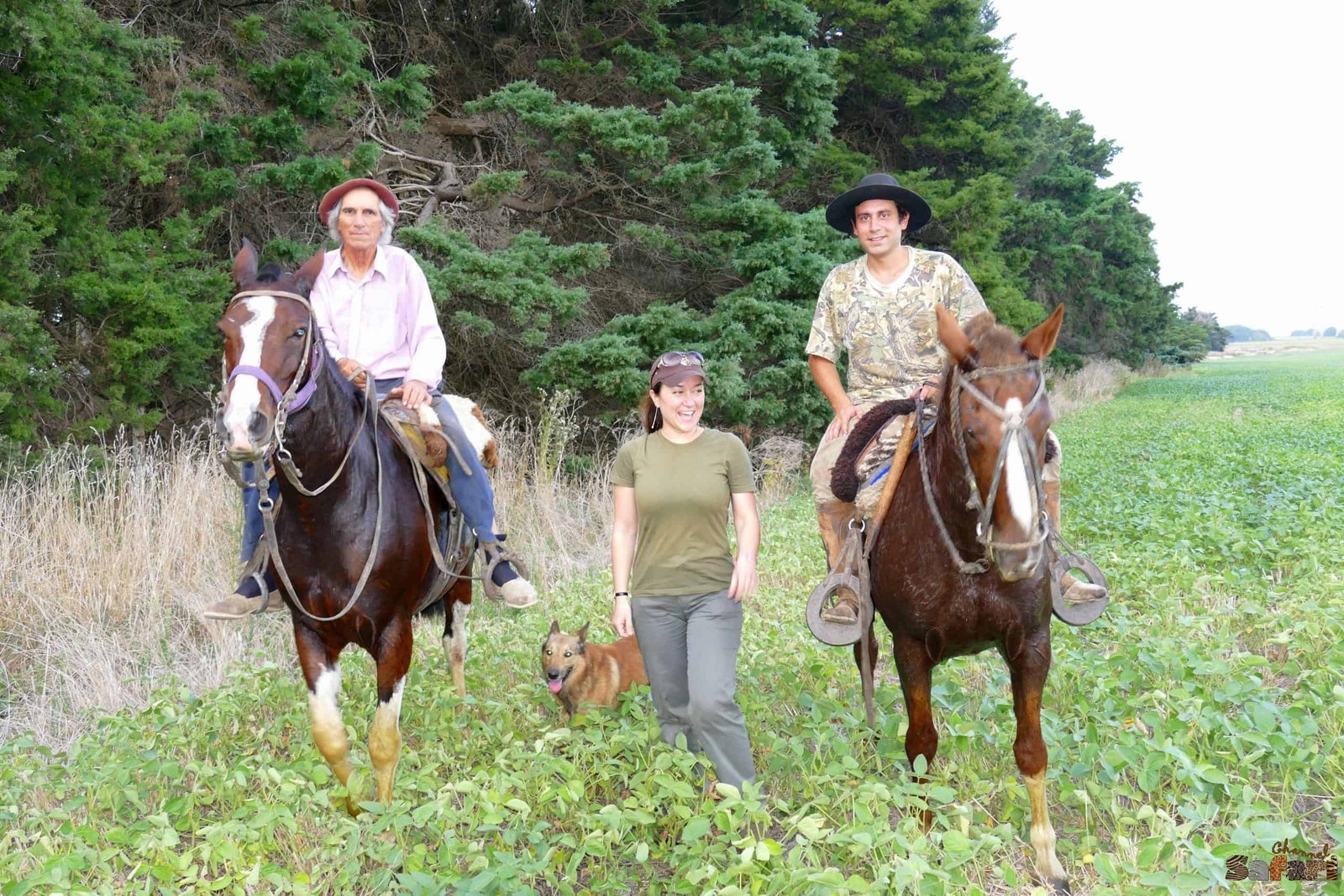 За елени в Аржентина
